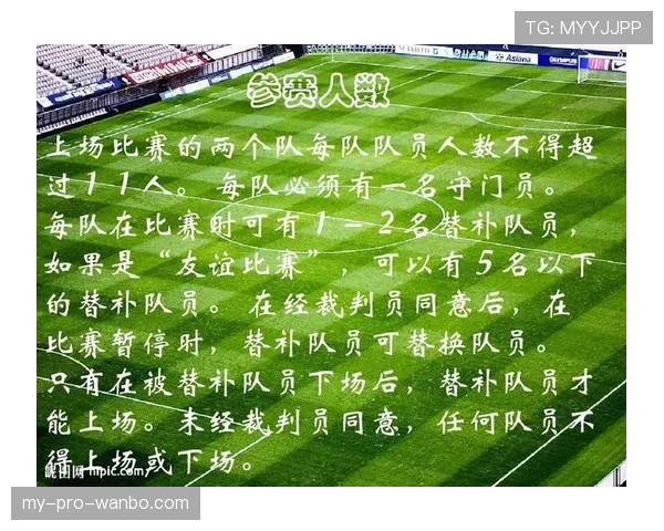 比赛暂停判定与恢复规则：裁判中止比赛的关键条件